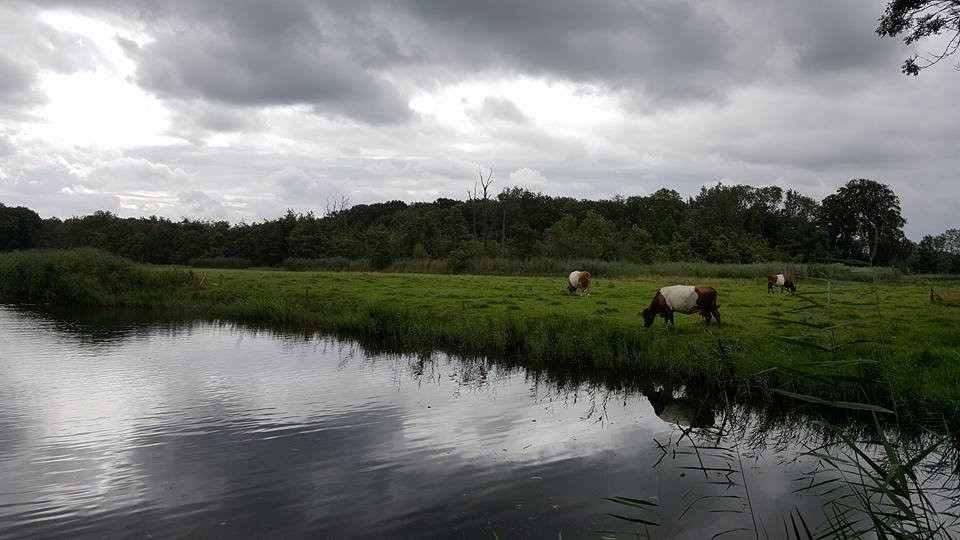 Landgoed Oostbroek-De Bilt必去景点