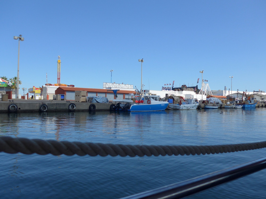 Bateau La Navette-Saint-Cyprien必去景点