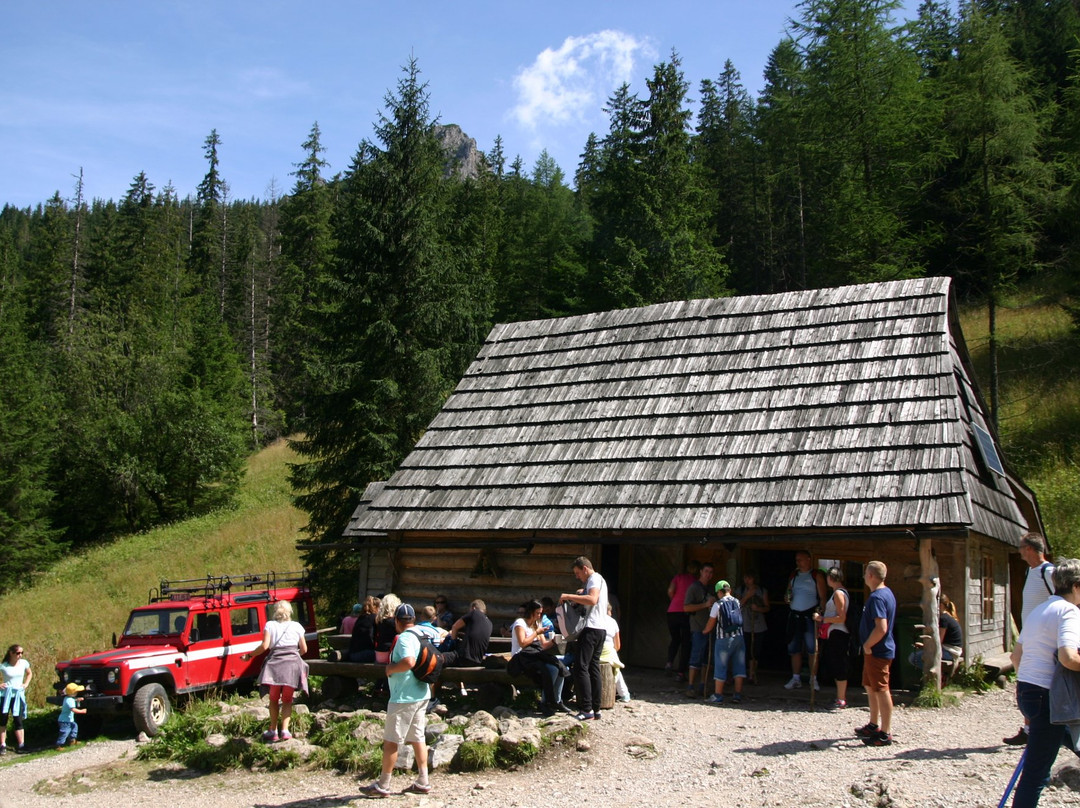 Herbaciarnia Parzenica