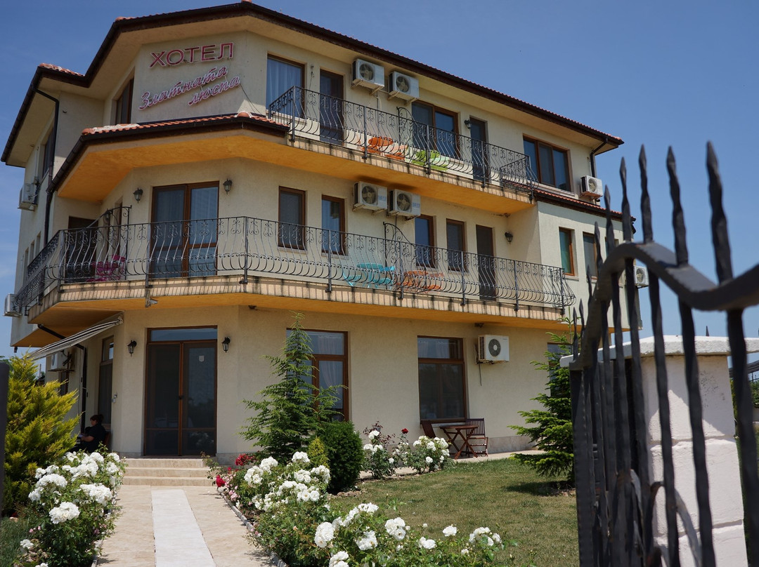 Villa Golden Flake主图