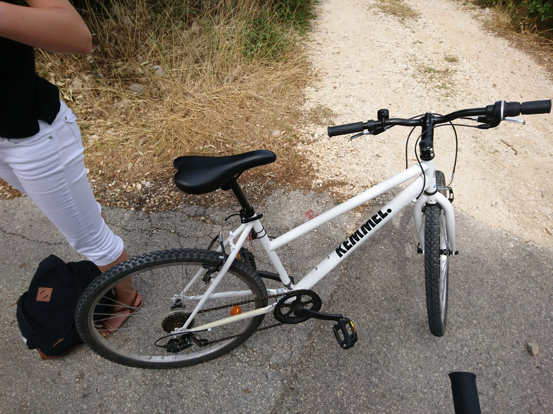 Speedy Zadar - Rent a Bike and Scooter-扎达尔必去景点