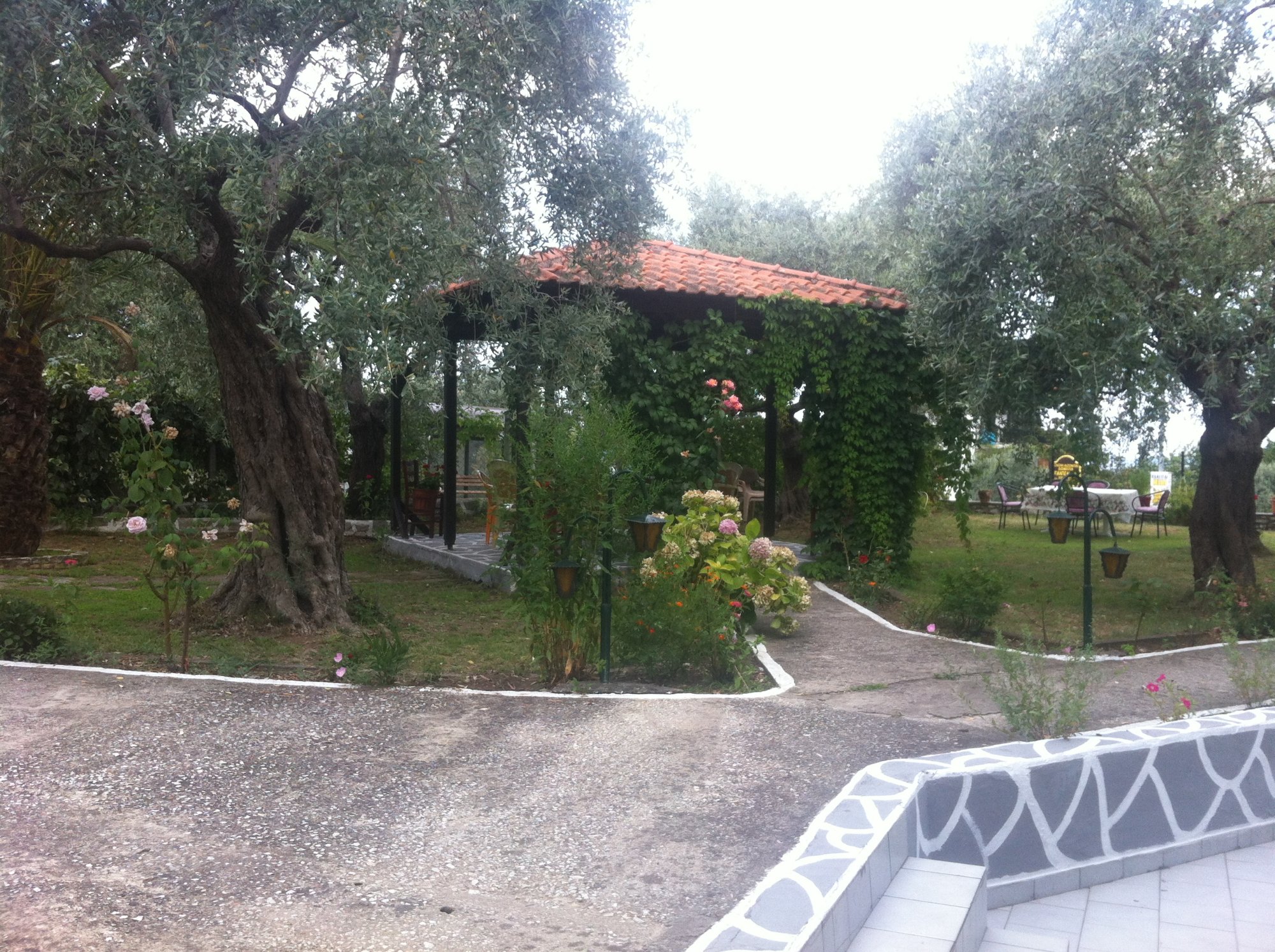 Filippina Studios-酒店景观