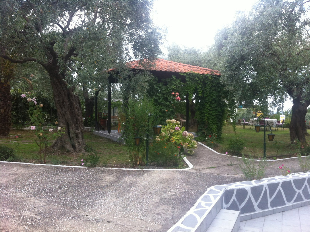 Filippina Studios主图