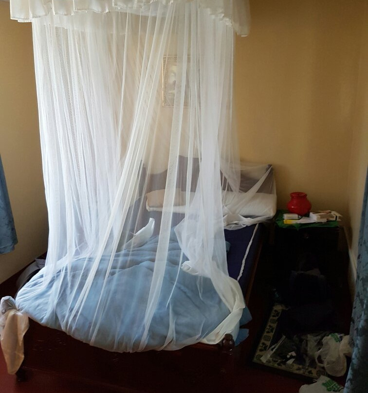 Habesha Bed & Breakfast主图