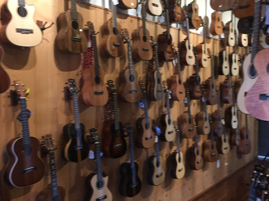 Hawaii Music Supply-哈雷瓦必去景点