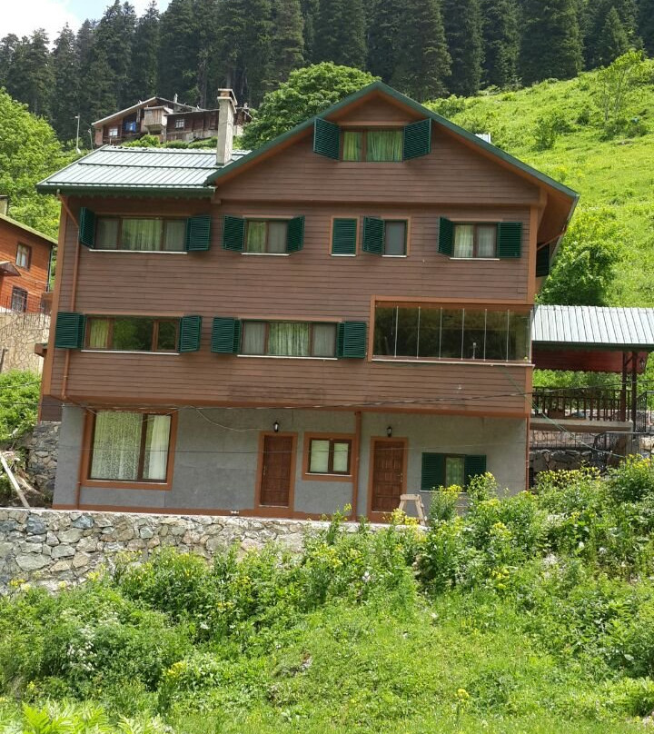 Uzungol Dagevi Apart