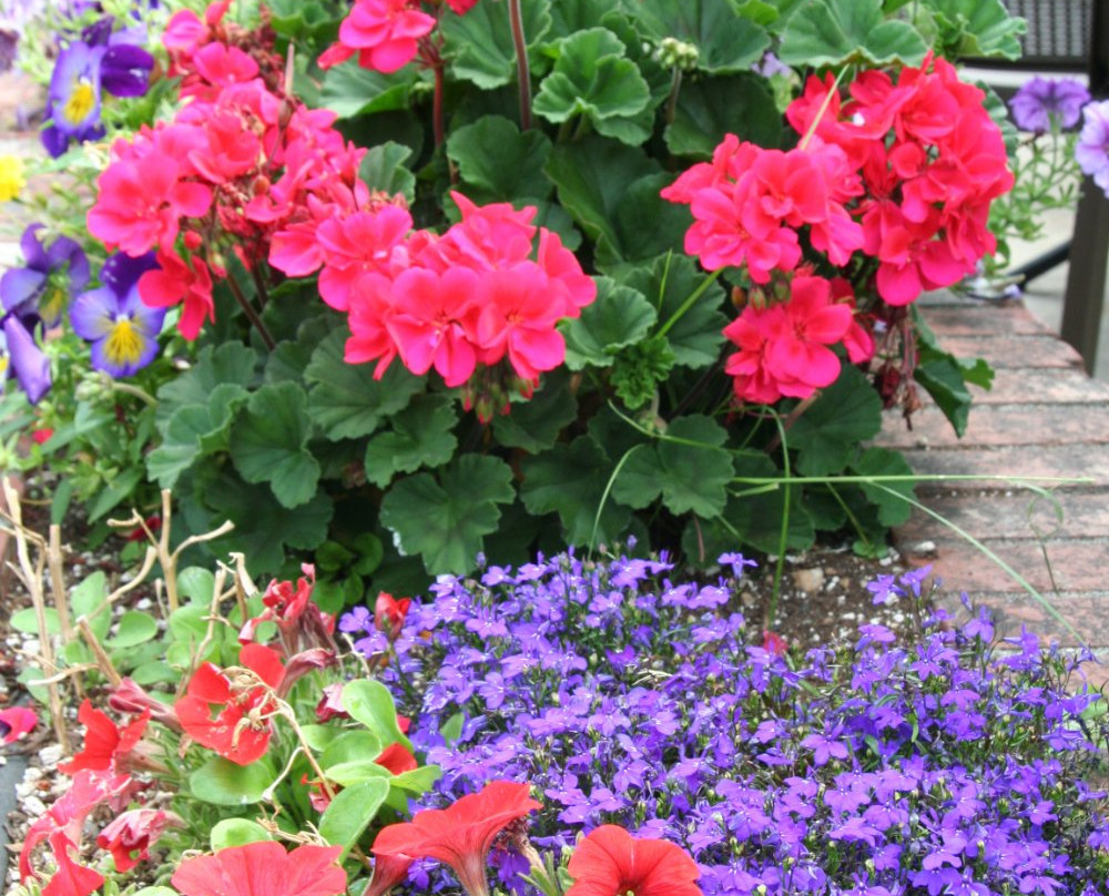 Mukilteo Chocolate Company-马科尔蒂奥必去景点