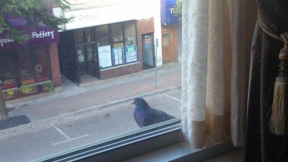 Clock Tower Inn主图