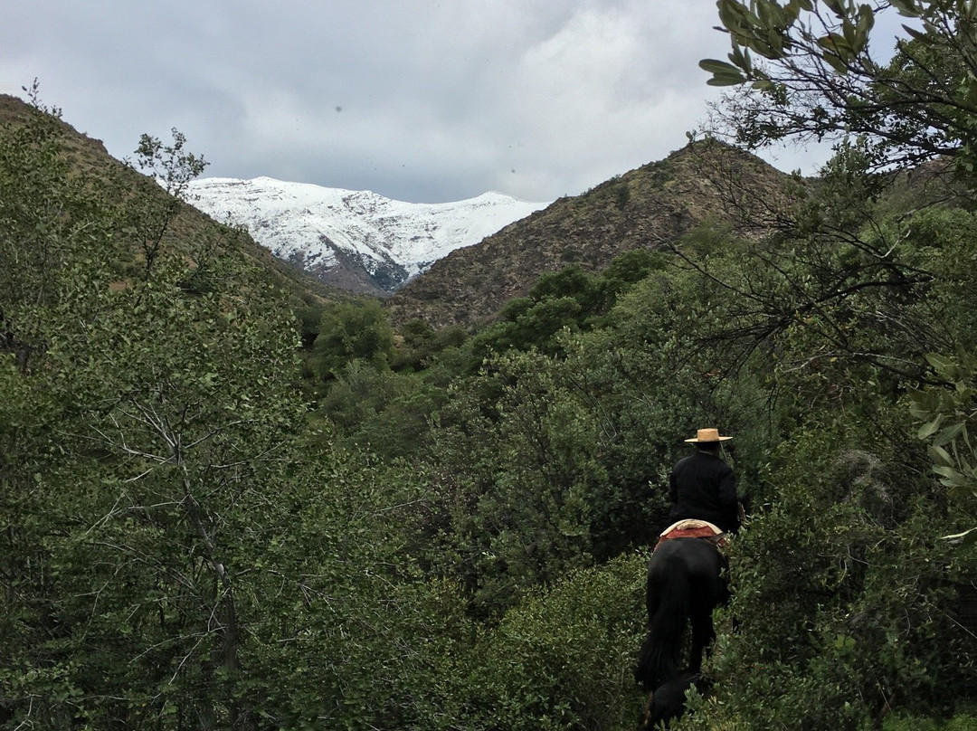 Horse Riding Chile-圣地亚哥必去景点