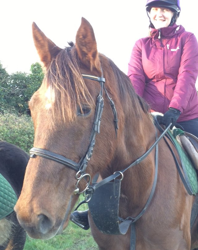 Corballis Farm Horse Trekking & Therapeutic Riding Centre-都柏林必去景点