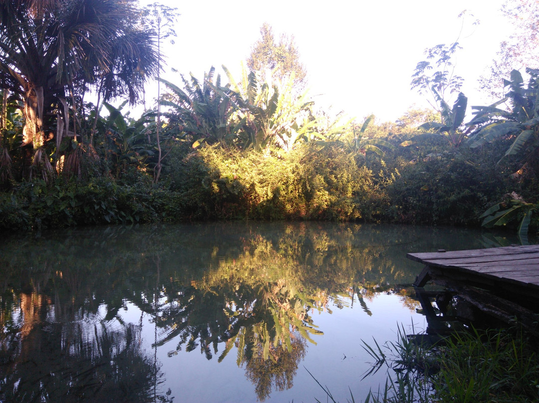 Sao Felix do Tocantins旅游景点-Fervedouro Do Alecrim