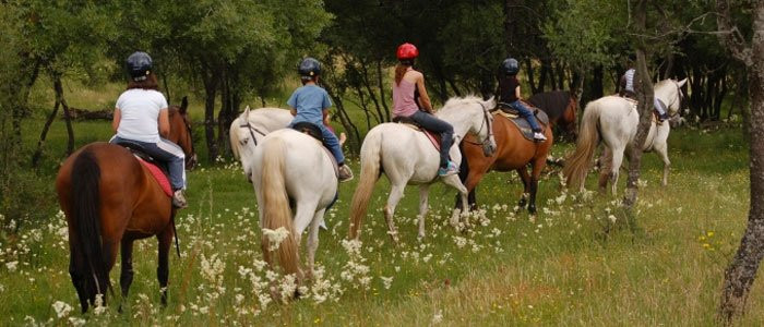 拉斯卡纳达斯酒店主图