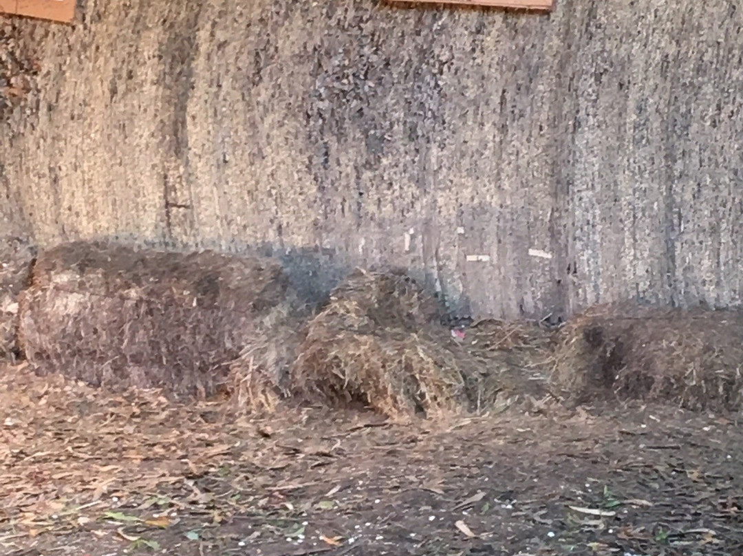 La Casualidad-Sierra de los Padres必去景点
