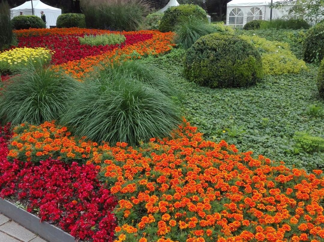 Friedrich-Engels-Denkmal-伍珀塔尔必去景点