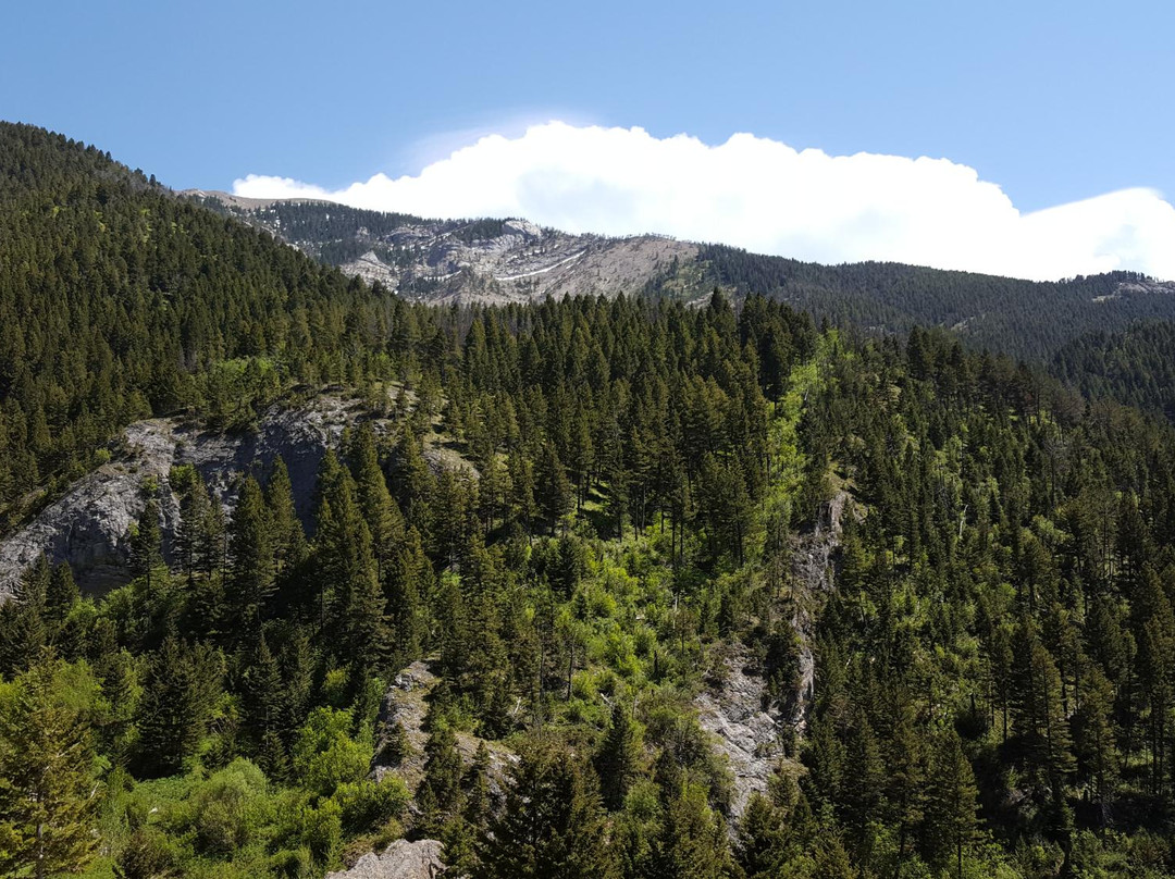 Middle Cottonwood Trailhead-博兹曼必去景点