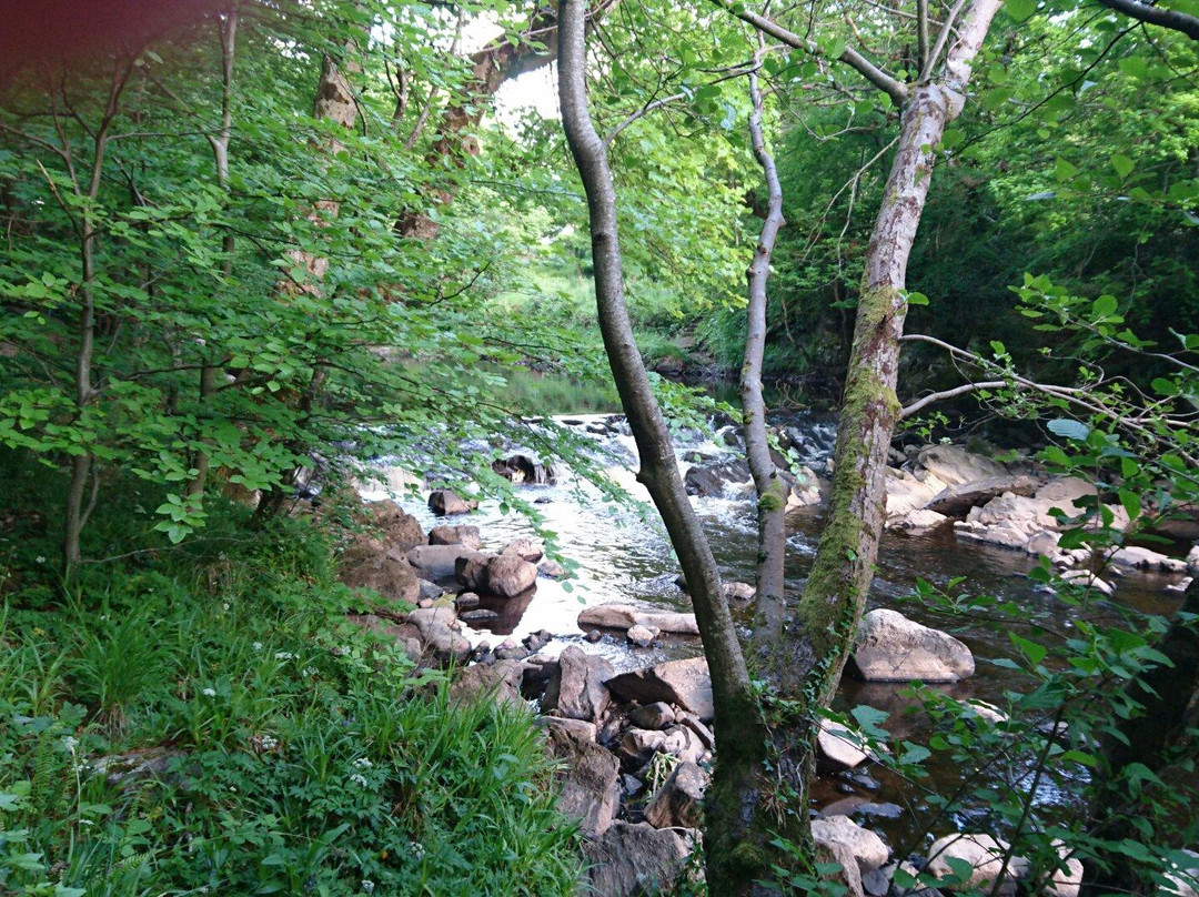 Swan Park-Buncrana必去景点