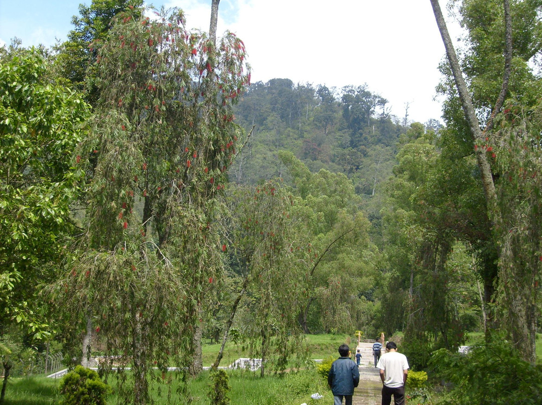 Arboretum Sumber Brantas景点图片
