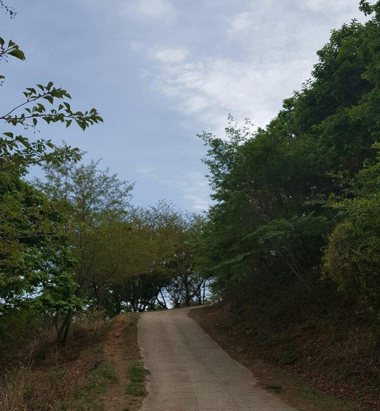 Yeomposan Mountain-蔚山必去景点