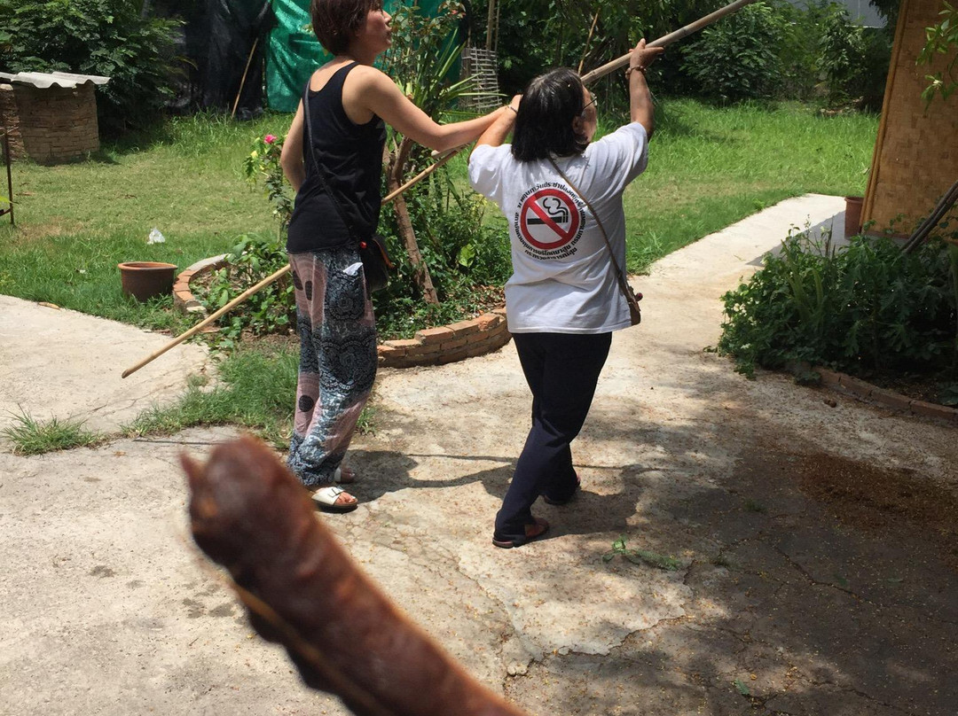 Timmy Thai Massage Training-Day Classes-清迈必去景点