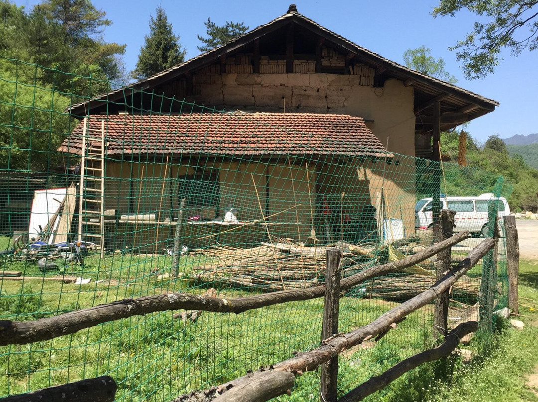 陕西周至老县城自然保护区-周至县必去景点