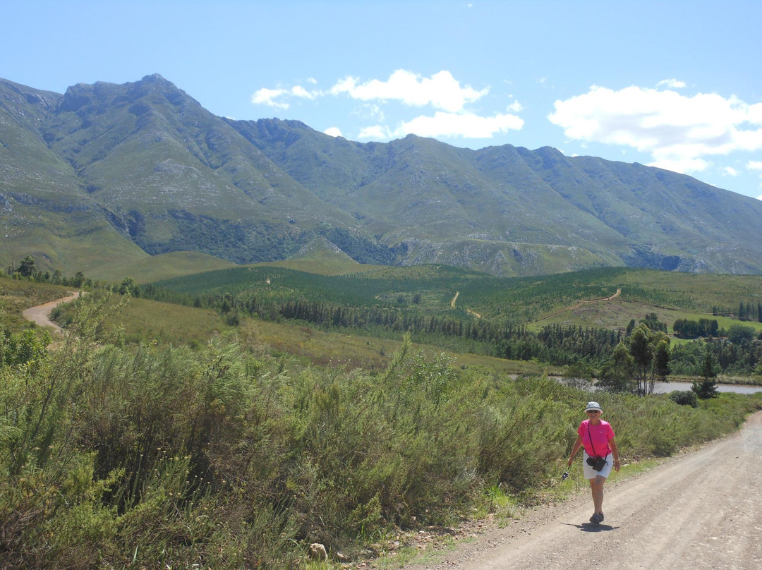 Swellendam Hiking Trail-斯韦伦丹必去景点