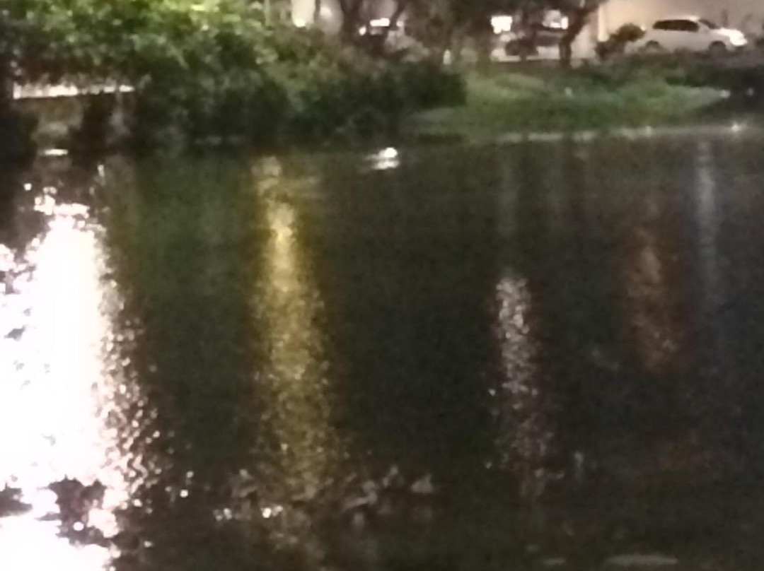 Lago Jacarey-福塔莱萨必去景点