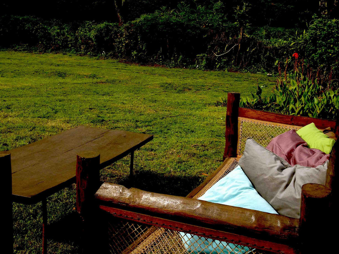 Kilimanjaro Halisi Camps