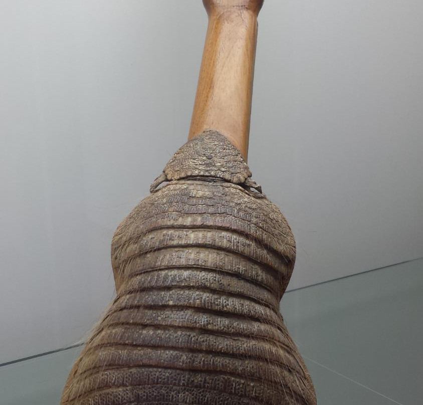 Museo degli Strumenti Etnico Musicali景点图片