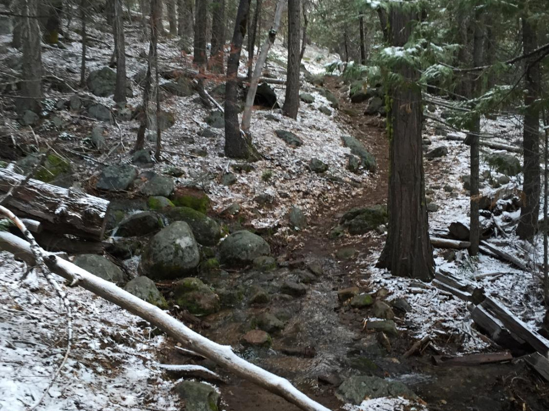 Pohono Trail-优胜美地国家公园必去景点