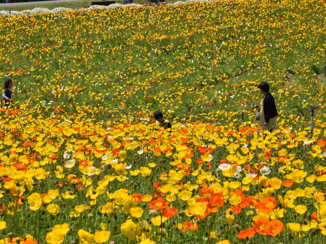 Tondabayashi Savor Farm-富田林市必去景点