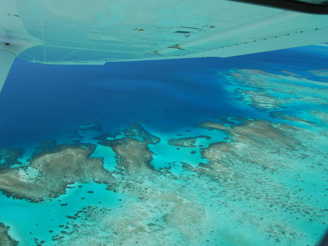 Cairns Scenics景点图片