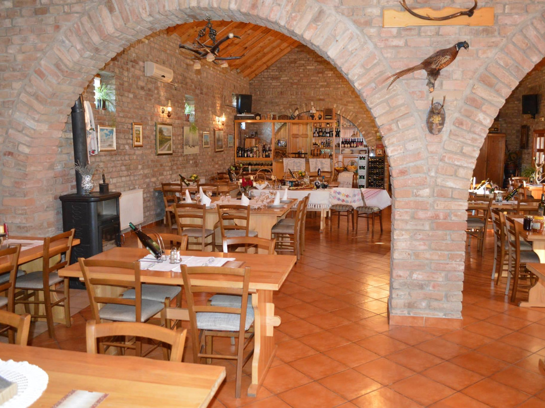 Guest House Aquarius
