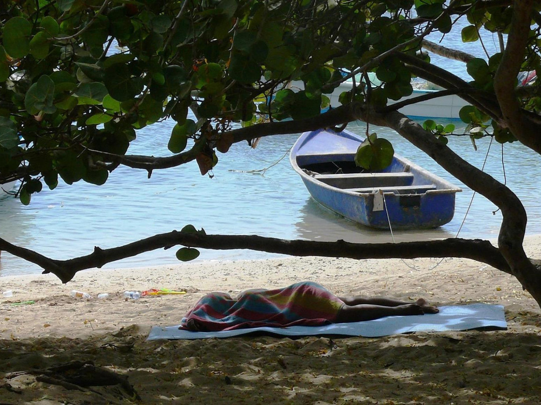 Historical La Isabela-普拉塔港必去景点