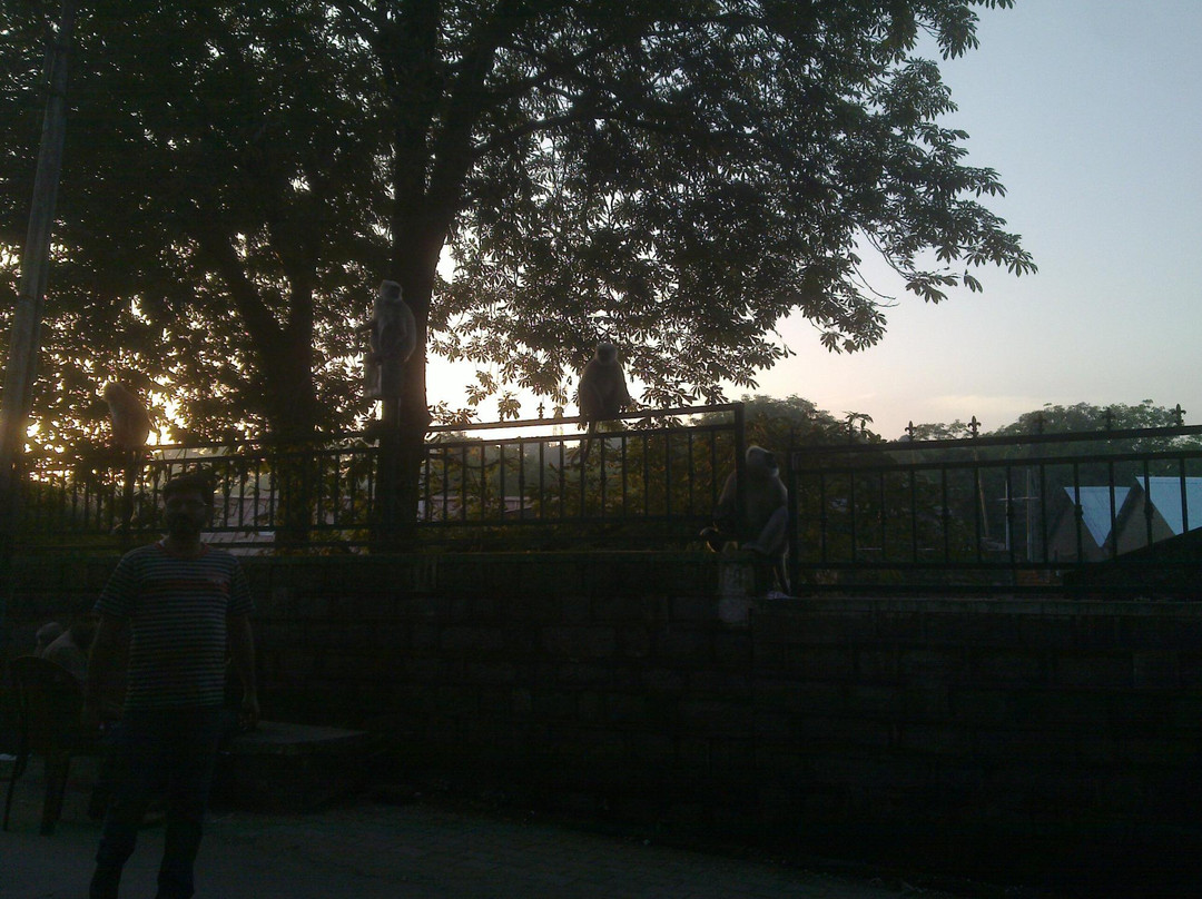 Monkey Point-Kasauli必去景点