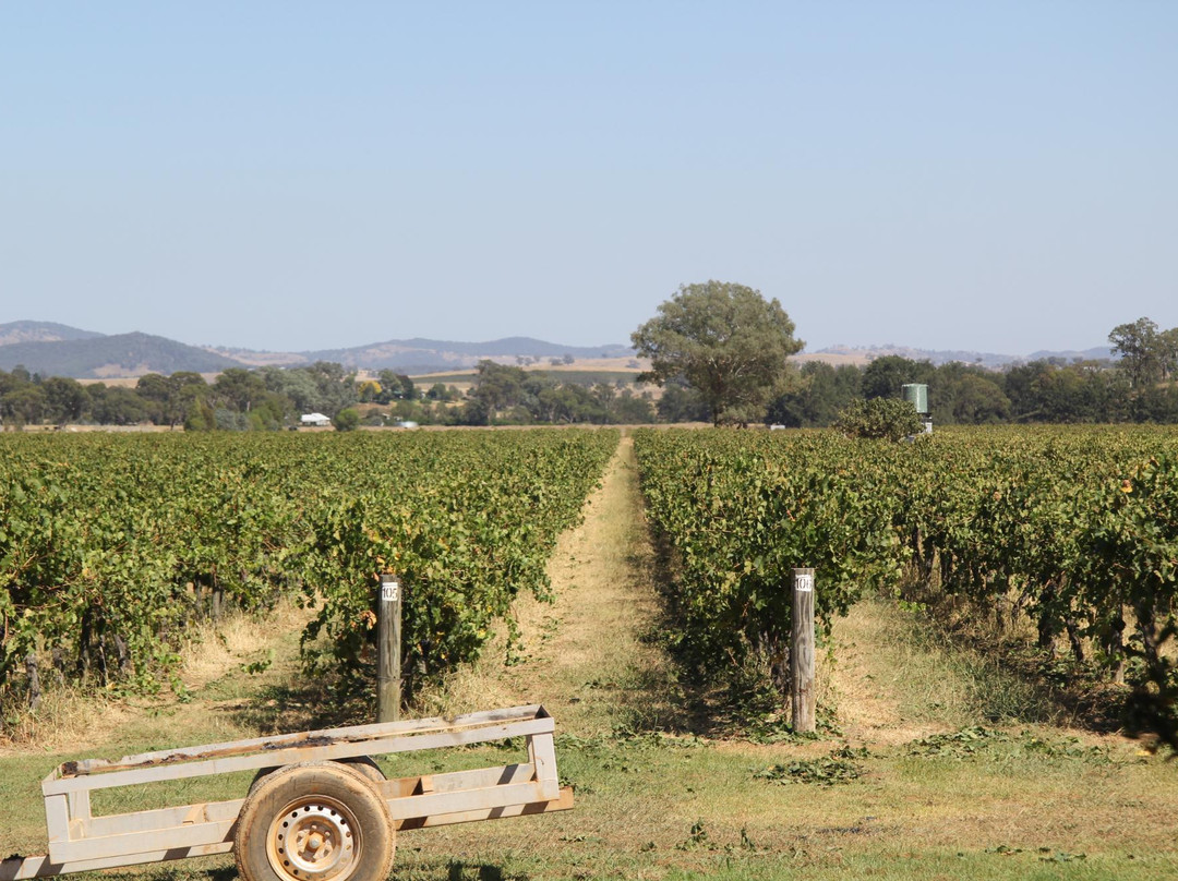 Petersons of Mudgee-马奇必去景点