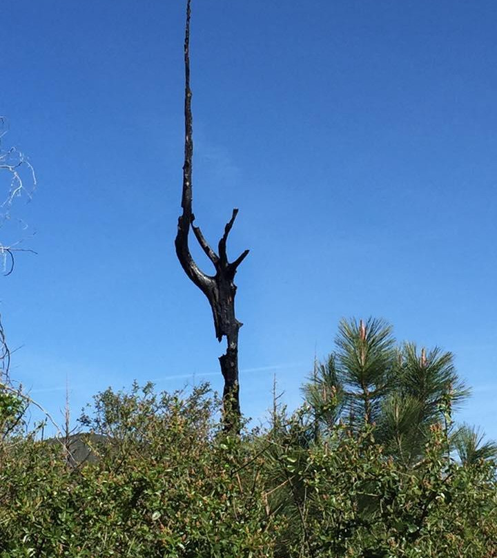 Cuyamaca Mountains景点图片