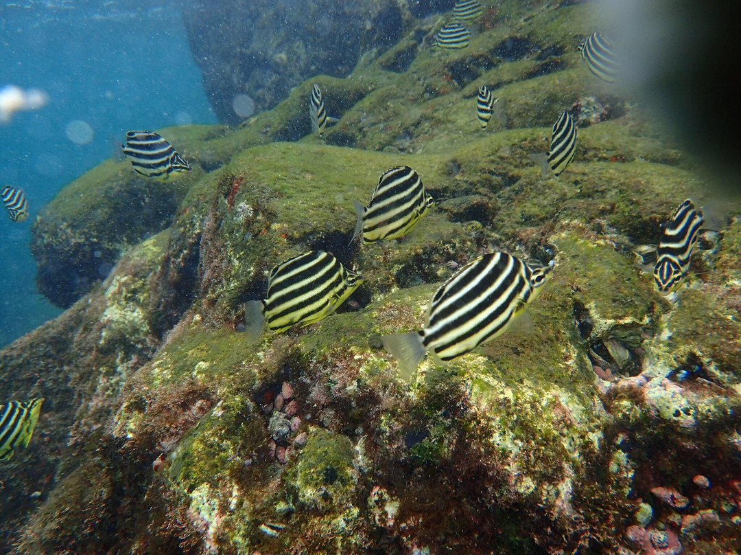 Naka no Ura Beach-式根岛必去景点