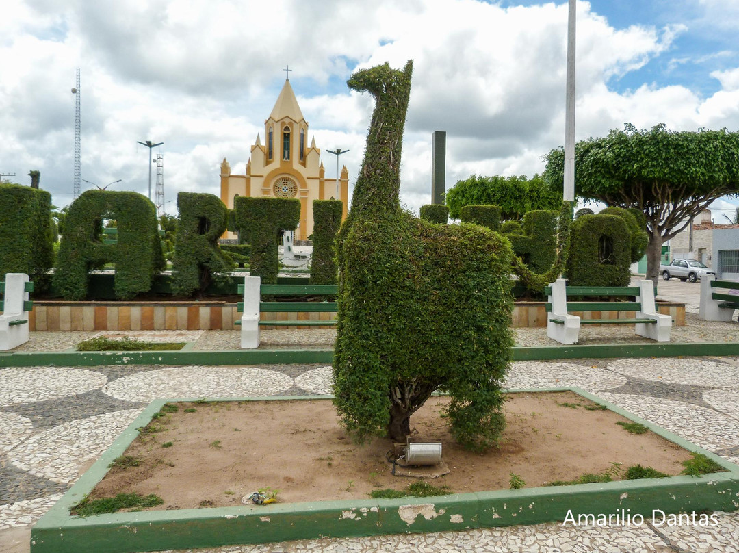 Praça Frei Martinho景点图片