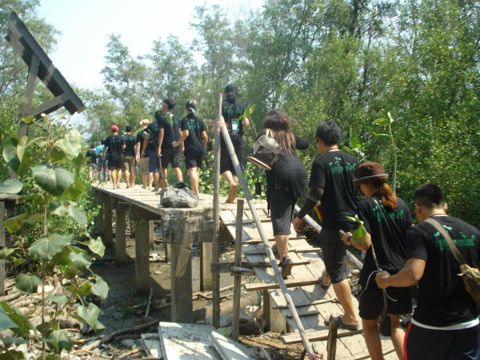 Ao Mahachai Mangrove Forest Natural Education Center-龙仔厝必去景点