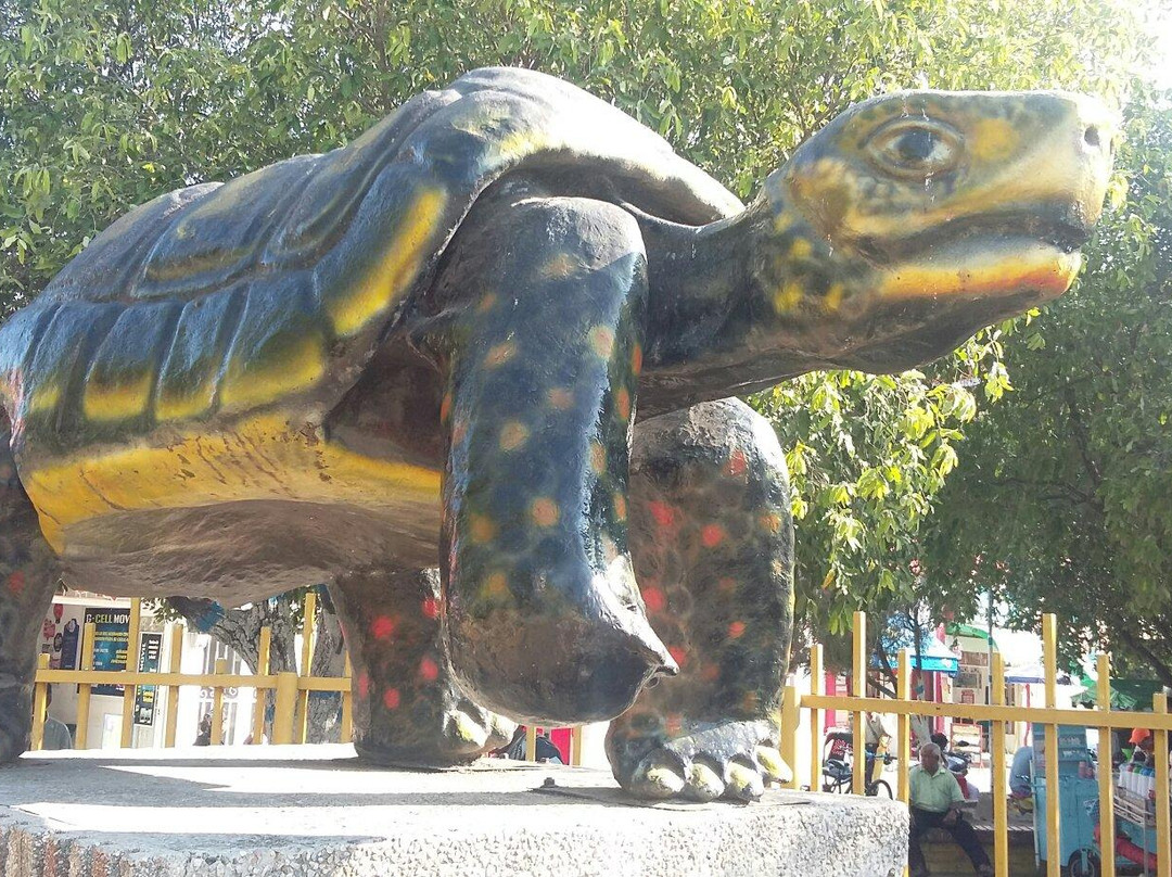 Aguachica-巴耶杜帕尔必去景点