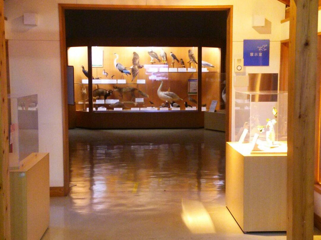 Yonago Waterbird Sanctuary-米子市必去景点