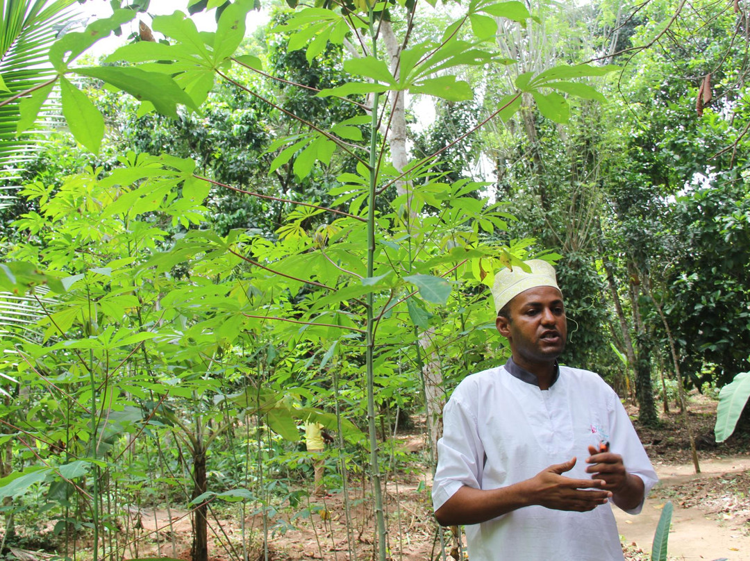 Zanzibar Spices and Heritage Centre景点图片