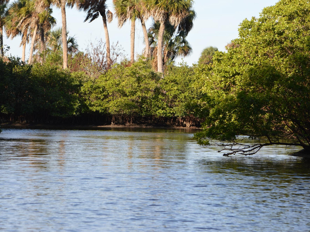Cockroach Bay Aquatic Preserve-Ruskin必去景点