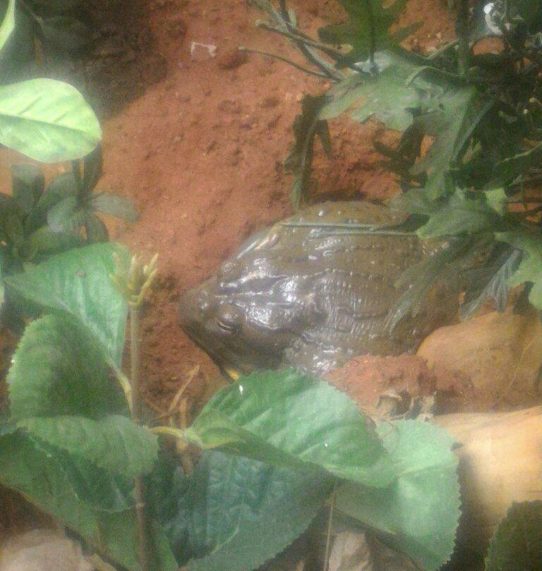 Bester Birds & Animals Zoo Park-比勒陀利亚必去景点