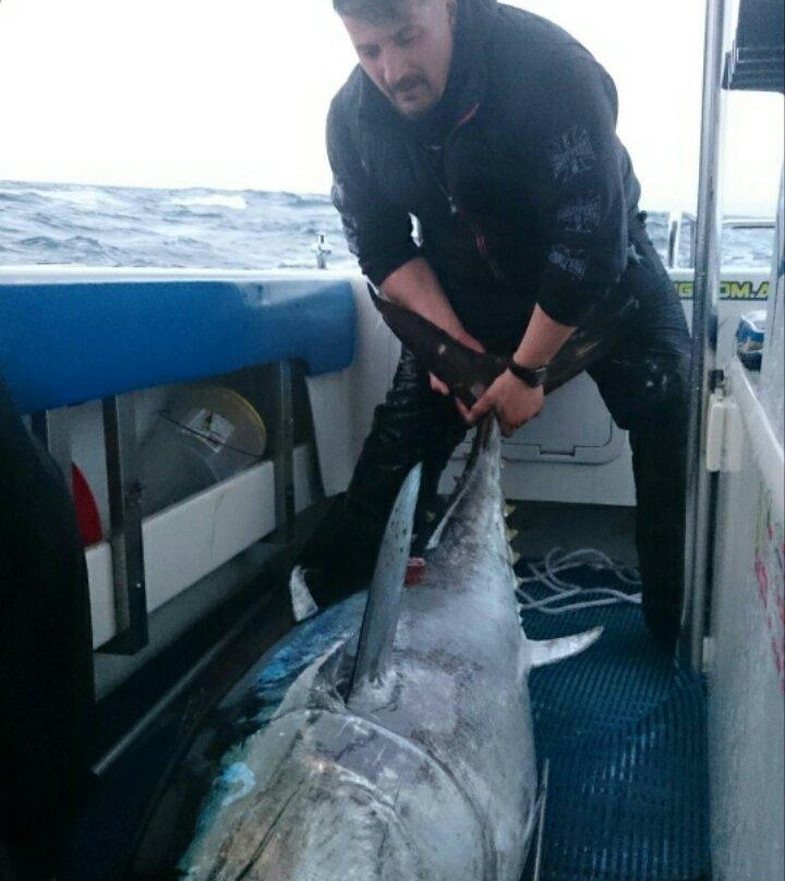 Hit n Run Fishing Charters-阿波罗湾必去景点