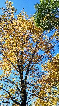 Mihashi Sogo Park-埼玉市必去景点