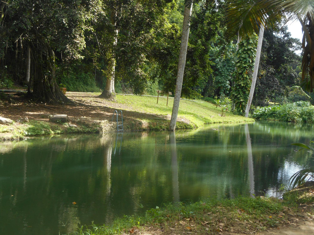 Jardines de Hershey-Jibacoa必去景点