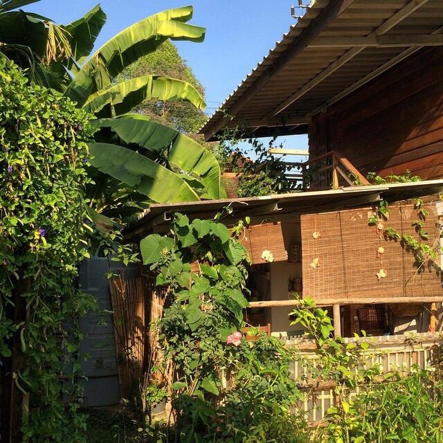 寺庙旁的家-清迈必去景点