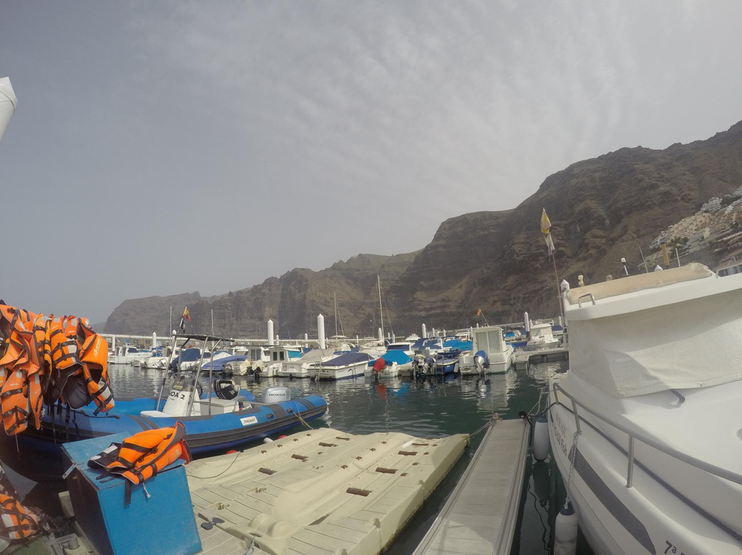 Jet Bike Safari-拉斯加勒塔斯必去景点