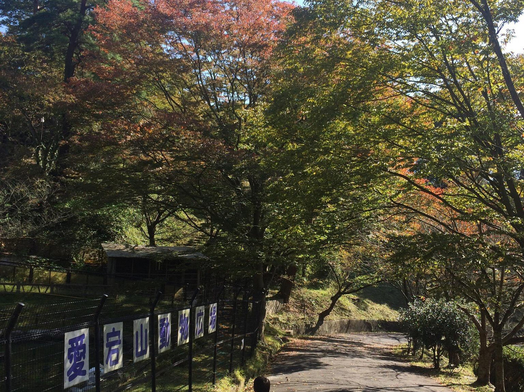Aigoyama Park-出云市必去景点